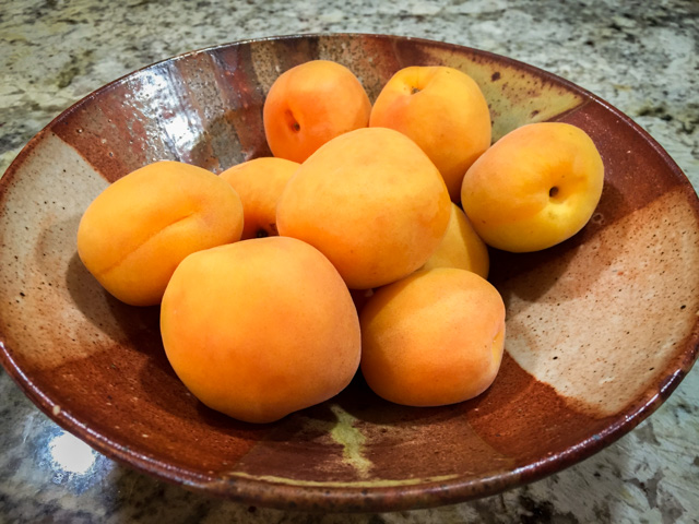 Apricots Bowl