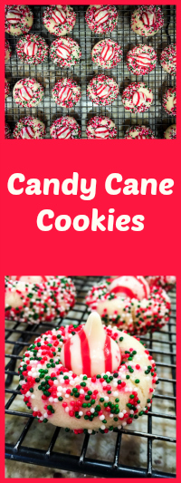Candy Cane Cookies from Bewitching Kitchen
