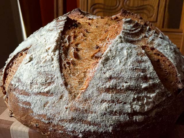 Auberge Pecan Walnut Bread2
