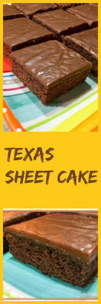 Texas Sheet Cake from Bewitching Kitchen