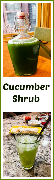 cucumber-shrub-from-bewitching-kitchen1