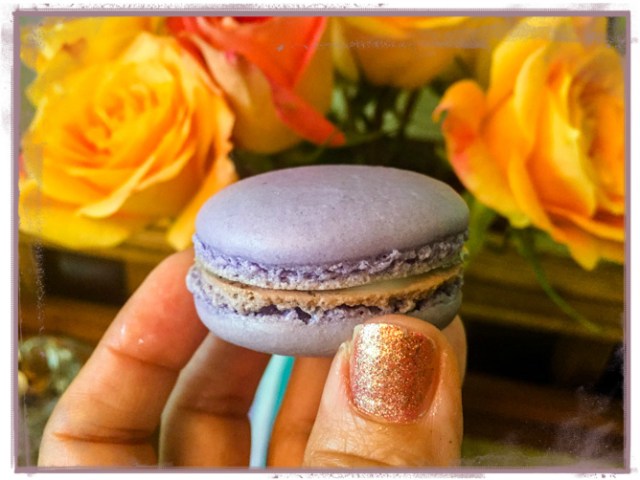 lavender-macaroncover